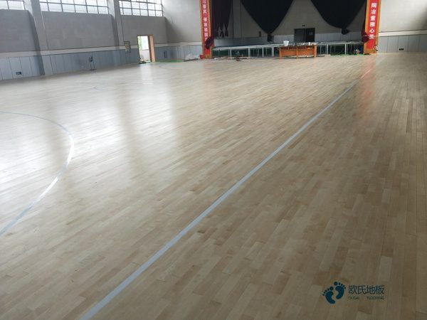 楓樺木排球館木地板價格